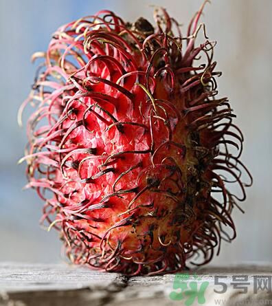紅毛丹的核能吃嗎？紅毛丹的核可以吃嗎？