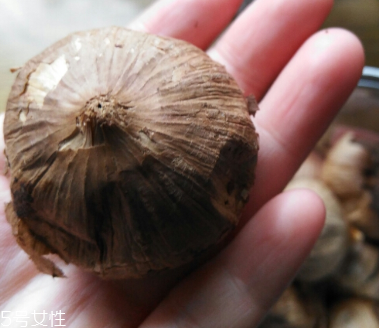 黑蒜的價格多少錢一斤？黑蒜很貴嗎？