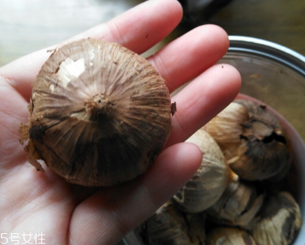 黑蒜的價格多少錢一斤？黑蒜很貴嗎？
