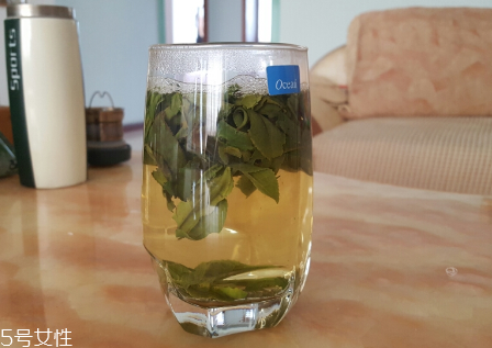 六安瓜片是什么茶？六安瓜片好喝嗎？