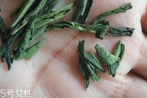 六安瓜片是紅茶還是綠茶？