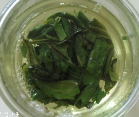 六安瓜片是紅茶還是綠茶？
