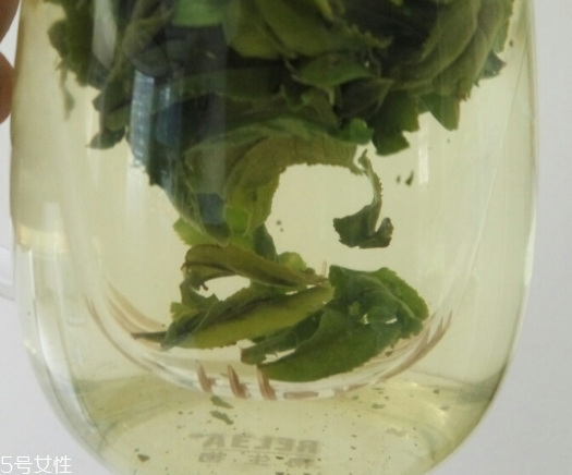 六安瓜片是紅茶還是綠茶？