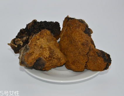 樺樹(shù)茸怎么泡水喝？樺樹(shù)茸泡水喝法