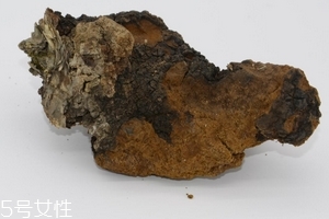 樺樹茸是中藥嗎？樺樹茸屬于中藥嗎