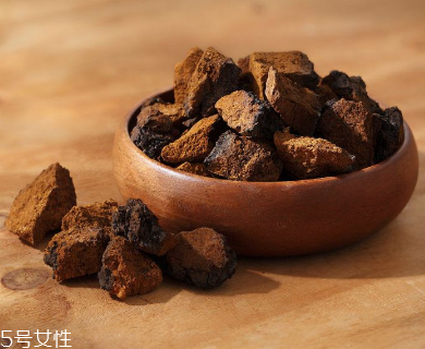 樺樹茸是中藥嗎？樺樹茸屬于中藥嗎