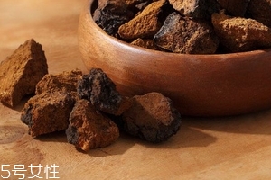 樺樹茸是樹黃嗎？樺樹茸屬于什么
