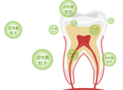 牙貼怎么分上下牙貼？牙貼怎么分正反