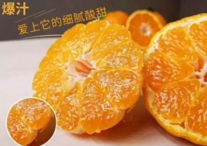 丑八怪可以放冰箱嗎？丑八怪怎么保存