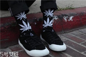 楓葉襪子是什么牌子？楓葉襪子品牌介紹