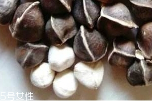 辣木籽味道 辣木籽甜還是苦？