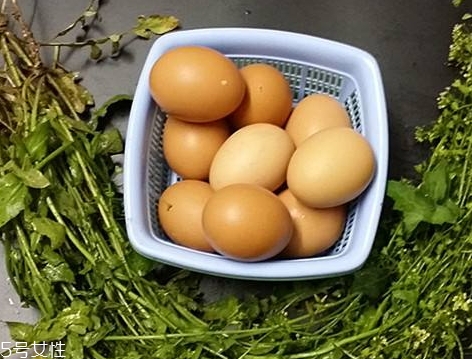 地菜花薺菜花煮雞蛋上午吃還是下午吃？