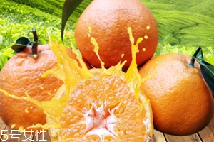 春見(jiàn)是什么水果？春見(jiàn)是丑八怪還是耙耙柑