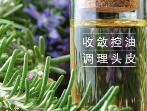 迷迭香精油怎么用？迷迭香精油使用注意事項(xiàng)