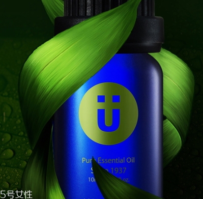 尤加利精油味道是什么？好聞嗎