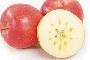 冰糖心蘋果怎么挑？冰糖心蘋果特點