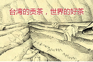 四云奶蓋貢茶哪個好喝？四云奶蓋貢茶點單攻略