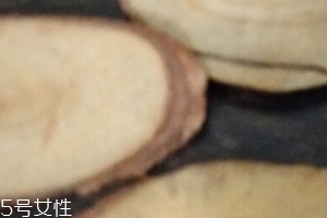 東革阿里是中藥嗎？東革阿里是什么？