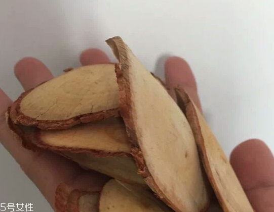 東革阿里是中藥嗎？東革阿里是什么？