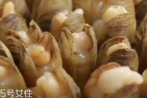清蒸蟶子的做法 清蒸蟶子怎么做好吃？