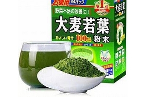 大麥若葉青汁小孩可以喝嗎？