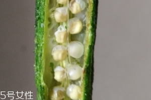 秋葵干好吃嗎？秋葵干怎么吃？