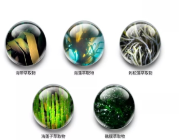 jm防曬噴霧孕婦可以用嗎？jmsolution防曬噴霧成分