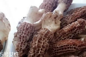 羊肚菌是什么東西？羊肚菌能吃嗎？