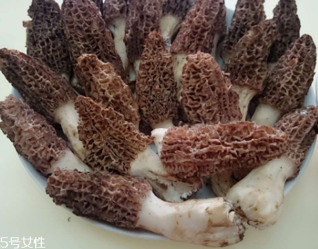 羊肚菌是什么東西？羊肚菌能吃嗎？