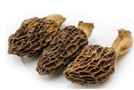 羊肚菌是發(fā)物嗎？羊肚菌屬于發(fā)物嗎？