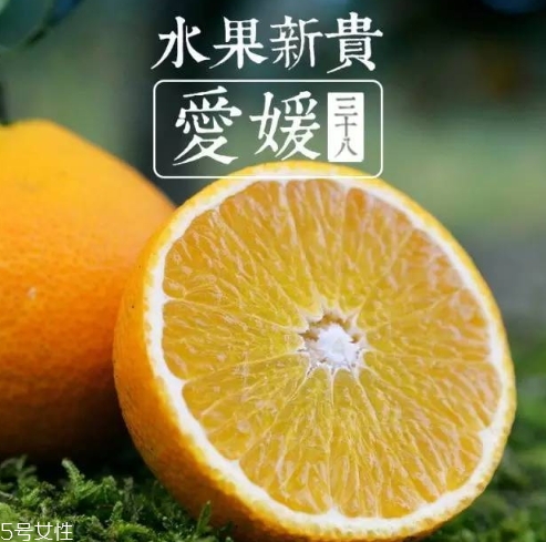 愛媛38號多少錢一斤？愛媛38號柑桔市場行情