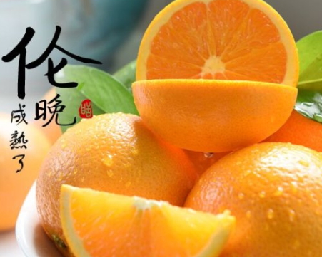 倫晚臍橙和夏橙哪個(gè)好？倫晚臍橙和其他橙子的區(qū)別