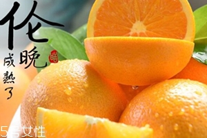 倫晚臍橙口感是酸的還是甜的？倫晚臍橙好吃嗎