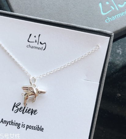 lily charmed怎么樣？lily charmed項鏈好嗎