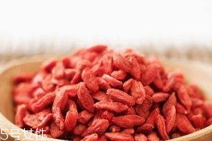 枸杞是哪個地方的特產(chǎn)？哪里產(chǎn)的枸杞好？