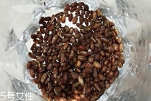 青稞茶怎么沖泡？青稞茶沖泡方法
