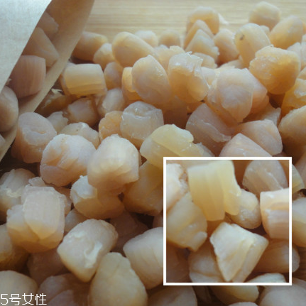干貝是海鮮嗎？干貝是什么動物做的？