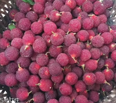 烏酥楊梅多少錢(qián)一斤？烏酥楊梅好吃嗎