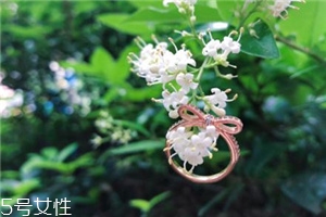戒指掉進(jìn)下水道怎么辦？戒指掉下水道了怎么撿