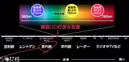 belulu大排燈怎么樣？belulu大排燈和exideal大排燈哪個(gè)好