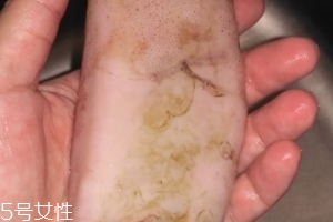 魷魚是海鮮嗎？魷魚屬于海鮮嗎？