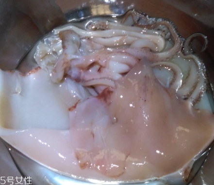 魷魚是海鮮嗎？魷魚屬于海鮮嗎？