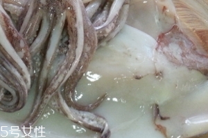 魷魚(yú)是烏賊嗎？魷魚(yú)跟烏賊是一種嗎？