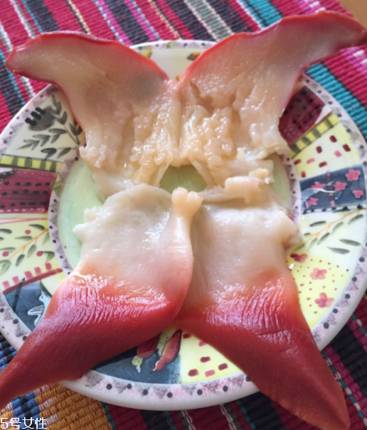 北極貝是海鮮嗎？北極貝介紹