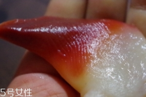 北極貝能不能煮？煮北極貝可以嗎？