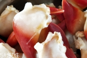 北極貝可以涮火鍋嗎？北極貝可以下火鍋吃嗎？
