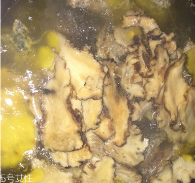 烏骨雞是烏雞嗎？烏骨雞是什么雞？