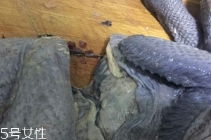 烏雞下奶嗎？烏雞怎么吃下奶？