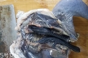 烏雞是公雞好還是母雞好？烏雞買公雞還是母雞？
