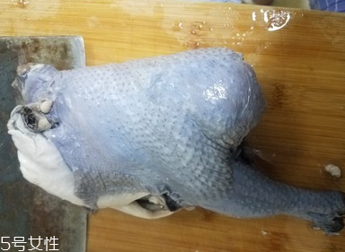 烏雞是公雞好還是母雞好？烏雞買公雞還是母雞？
